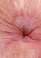 Adora Bell in young and hairy, Adora Bell (ado005) ATK Natural & Hairy: Adora Bell (Adora Bell in young and hairy)