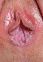 Alana spreads her young and creamy snatch, Alana Summers (ala028) ATK Petites: Alana Summers (Alana spreads her young and creamy snatch)