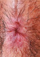 Amber cups her small breasts and spreads her hairy ass., Amber Summer (amb070) ATK Petites: Amber Summer (Amber cups her small breasts and spreads her hairy ass.)