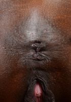 Ana Foxxx is One Sexy Black Woman, Ana Foxxx (ana027) ATK Exotics: Ana Foxxx (Ana Foxxx is One Sexy Black Woman)