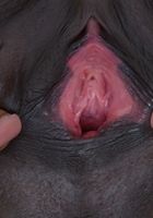 ATK Exotics: Ana Foxxx (Ana Foxx is a fit and sexy gal)