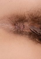 Andy Moon in young and hairy, Andy Moon (and101) ATK Natural & Hairy: Andy Moon (Andy Moon in young and hairy)