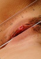 AnneMarie in latinas, AnneMarie (ann025) ATK Exotics: AnneMarie (AnneMarie in latinas)