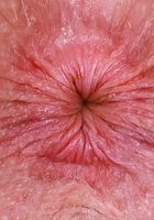 ATK Natural & Hairy: Apricot Pitts (Apricot Pitts legs in the air spreading)