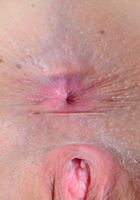 Ariel gives up some hot spreads and gapes, Ariel Grace (ari046) ATK Petites: Ariel Grace (Ariel gives up some hot spreads and gapes)
