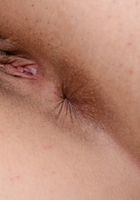 ATK Exotics: Aria Lee (Aria Lee in latinas)