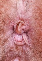 ATK Galleria: Asteria Jade (Asteria Jade has something to show ya)