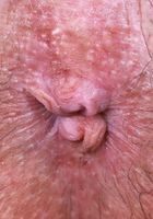 ATK Galleria: Asteria Jade (The sexy eyes on Asteria Jade)