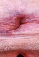 ATK Galleria: Avery Wilds (Long-haired Avery Wilds is getting even wilder)