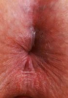 Bess Breast Upskirt View, Bess Breast (bes004) ATK Natural & Hairy: Bess Breast (Bess Breast Upskirt View)