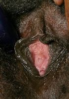 ATK Exotics: bette (bette in black women)