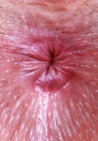 ATK Petites: Big Eyes (Big Eyes is always having fun)