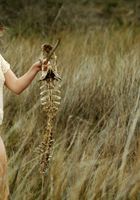 ATK Premium: Brett Ashley (Brett Ashley in artistic)