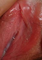 ATK Exotics: Camille (Camille in latinas)