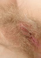 ATK Archives: Carina (Carina in toys)