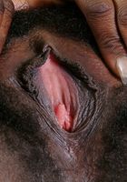Charlotte in black women, Charlotte (cha033) ATK Exotics: Charlotte (Charlotte in black women)
