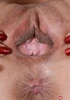 ATK Exotics: Christy Love (Christy Love in asians)