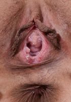 ATK Exotics: Christy Love (Christy Love in asians)