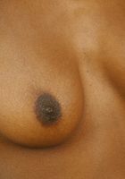 ATK Exotics: Constance (Constance in black women)