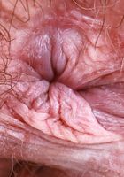 ATK Natural & Hairy: Annabelle Lee (Annabelle Lee Juicy Hairy Pussy)