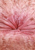 ATK Natural & Hairy: Dakota Marr (Dakota Marr is lifting her skirt and dropping it)