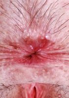 ATK Galleria: Daydream Daisy (Daydream Daisy brought you flowers)