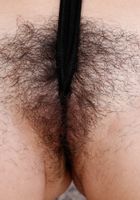 Dixie Comet from ATK Natural & Hairy
