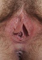 Elena in scary hairy, Elena (ele033) ATK Natural & Hairy: Elena (Elena in scary hairy)