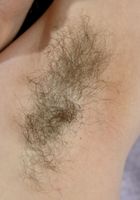 Elizabeth in young and hairy, Elizabeth (eli043) ATK Natural & Hairy: Elizabeth (Elizabeth in young and hairy)