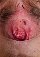 ATK Natural & Hairy: Elle Voneva (Elle Voneva in exotic and hairy)