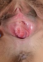 Elle Voneva in exotic and hairy, Elle Voneva (ell038) ATK Natural & Hairy: Elle Voneva (Elle Voneva in exotic and hairy)