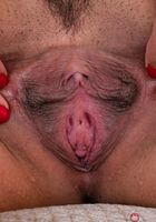 ATK Exotics: Elle Voneva (Elle Voneva in asians)