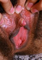 ATK Exotics: Eunique (Eunique in uniforms)