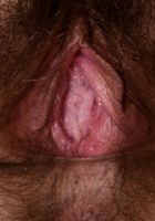 Felix Weatherwood in mature and hairy, Felix Weatherwood (fel017) ATK Natural & Hairy: Felix Weatherwood (Felix Weatherwood in mature and hairy)