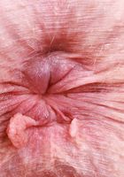 ATK Galleria: Gigi Sweets (Gigi Sweets models in (and out of) her underwear)