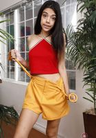 Harmony Wonder in latinas, Harmony Wonder (har021) ATK Exotics: Harmony Wonder (Harmony Wonder in latinas)