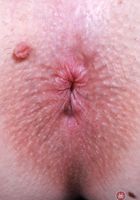 ATK Galleria: Harlow West (Halow West Lingerie Shaved Pussy Spreads)