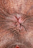 Hazel Grace Outdoor Nudity, Hazel Grace (haz015) ATK Petites: Hazel Grace (Hazel Grace Outdoor Nudity)