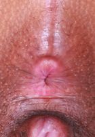 ATK Exotics: Isabella Jules (Isabella Jules Tight Shorts Foot Fetish Pussy and Ass Spreading)