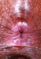 Isabella Jules from ATK Exotics