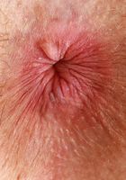 Jackie Hoff Huge Asshole Gaping, Jackie Hoff (jac041) ATK Galleria: Jackie Hoff (Jackie Hoff Huge Asshole Gaping)