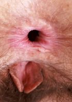 Jackie Hoff from ATK Natural & Hairy