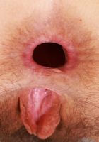 Jackie Hoff Gaping Asshole, Jackie Hoff (jac041) ATK Natural & Hairy: Jackie Hoff (Jackie Hoff Gaping Asshole)