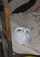 ATK Exotics: Jassie (Jassie in asians)