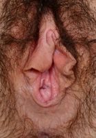 Joey showing the fine fur., Joey Minx (joe016) ATK Natural & Hairy: Joey Minx (Joey showing the fine fur.)
