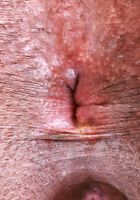 Journey Love from ATK Exotics