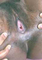 Chantel from ATK Exotics