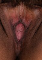 Karla Lane in mature and hairy, Karla Lane (kar065) ATK Natural & Hairy: Karla Lane (Karla Lane in mature and hairy)