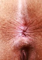 ATK Exotics: Kate Legend (Kate Legend Tight Dress Exotic Pussy Spreading)