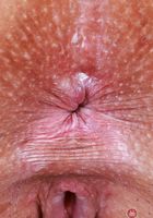 ATK Exotics: Katrina Karson (Katerina Karson is waiting in her bra and panties)